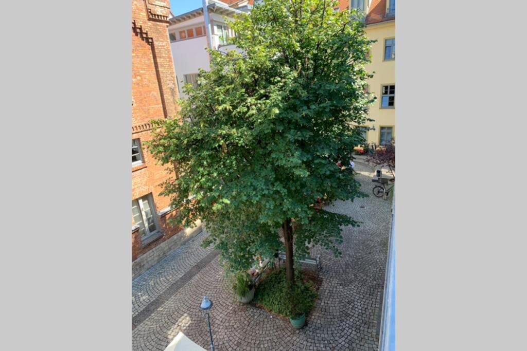 Altstadt, Fewo Im Markthof Am Dom Erfurt Exteriör bild
